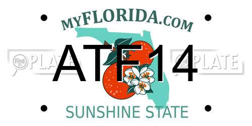 ATF14 Florida License Plate