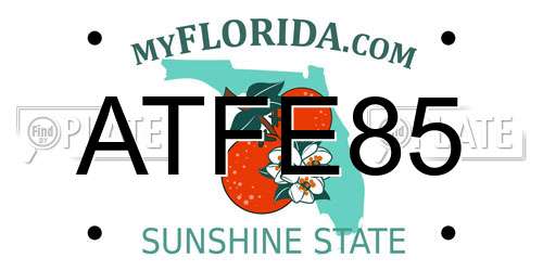 ATFE85 Florida License Plate