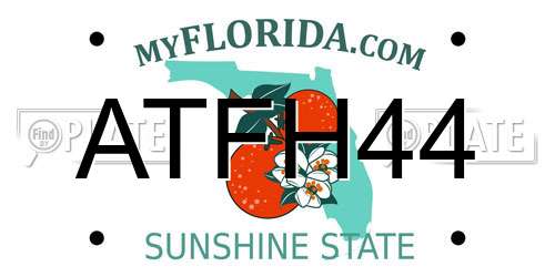 ATFH44 Florida License Plate