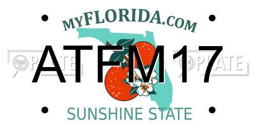 ATFM17 Florida License Plate