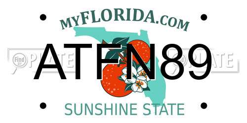 ATFN89 Florida License Plate