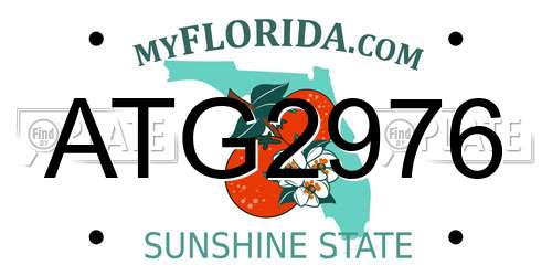 ATG2976 Florida License Plate