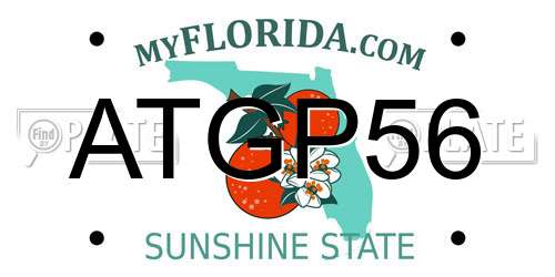 ATGP56 Florida License Plate