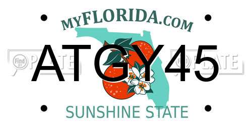 ATGY45 Florida License Plate