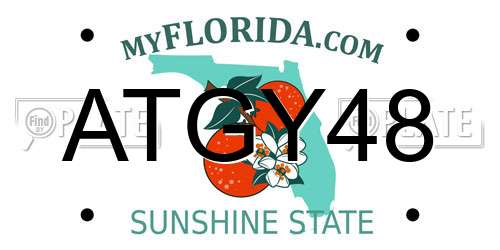ATGY48 Florida License Plate