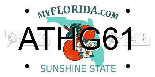 ATHG61 Florida License Plate