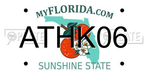 ATHK06 Florida License Plate