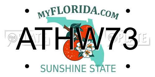 ATHW73 Florida License Plate