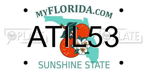 ATIL53 Florida License Plate