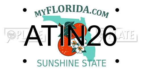 ATIN26 Florida License Plate