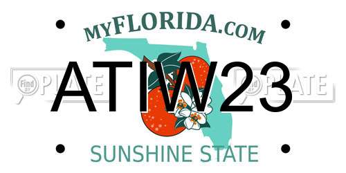 ATIW23 Florida License Plate