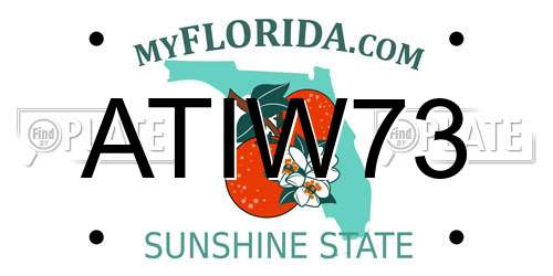 ATIW73 Florida License Plate