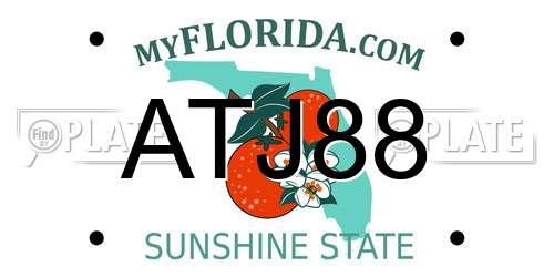 ATJ88 Florida License Plate