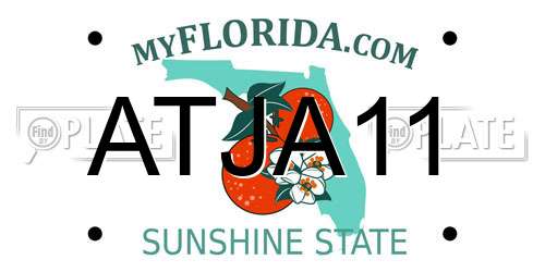 ATJA11 Florida License Plate