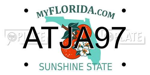 ATJA97 Florida License Plate