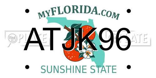 ATJK96 Florida License Plate