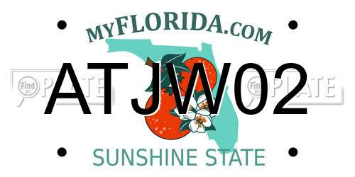 ATJW02 Florida License Plate