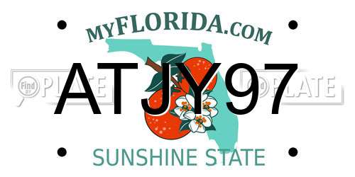 ATJY97 Florida License Plate