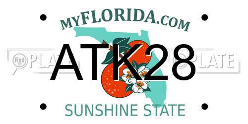 ATK28 Florida License Plate
