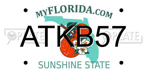 ATKB57 Florida License Plate