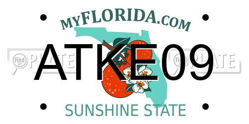 ATKE09 Florida License Plate