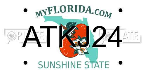 ATKJ24 Florida License Plate