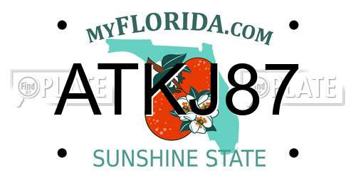 ATKJ87 Florida License Plate