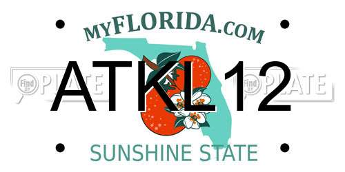 ATKL12 Florida License Plate