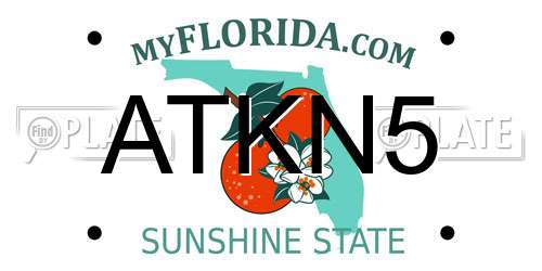 ATKN5 Florida License Plate