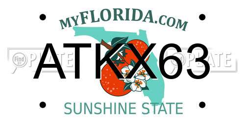 ATKX63 Florida License Plate