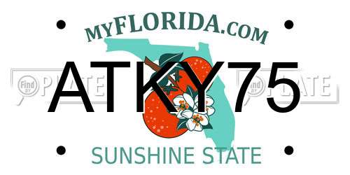 ATKY75 Florida License Plate