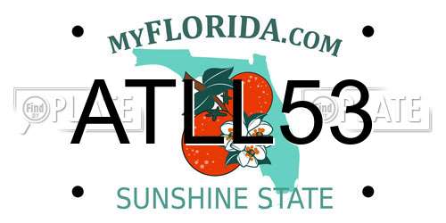 ATLL53 Florida License Plate