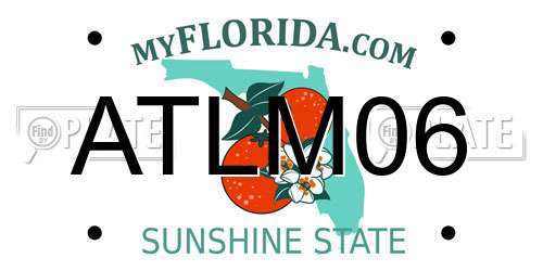 ATLM06 Florida License Plate
