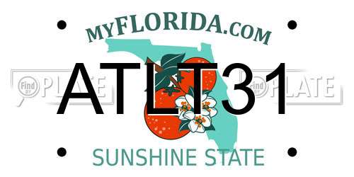 ATLT31 Florida License Plate