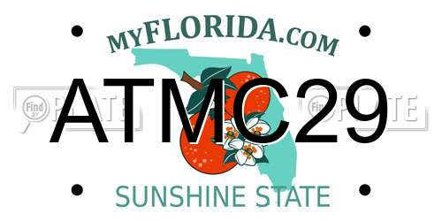 ATMC29 Florida License Plate