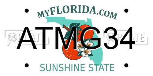 ATMG34 Florida License Plate