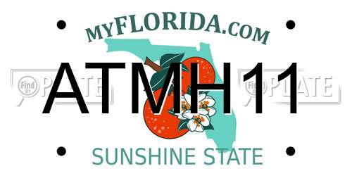 ATMH11 Florida License Plate
