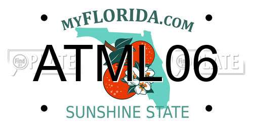 ATML06 Florida License Plate
