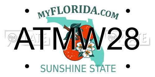 ATMW28 Florida License Plate