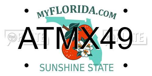 ATMX49 Florida License Plate