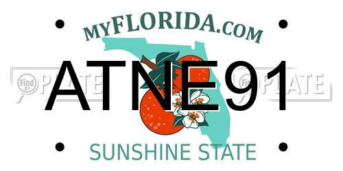 ATNE91 Florida License Plate