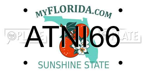 ATNI66 Florida License Plate