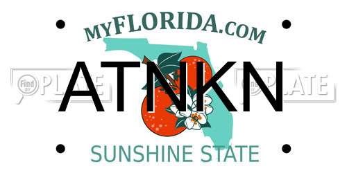 ATNKN Florida License Plate