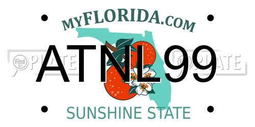 ATNL99 Florida License Plate