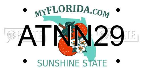 ATNN29 Florida License Plate