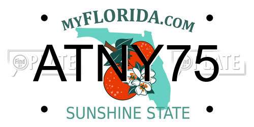 ATNY75 Florida License Plate