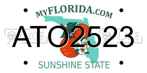ATO2523 Florida License Plate