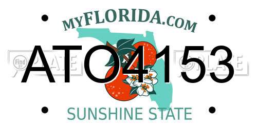 ATO4153 Florida License Plate