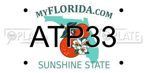 ATP33 Florida License Plate