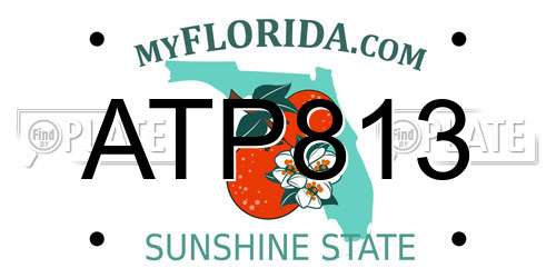 ATP813 Florida License Plate